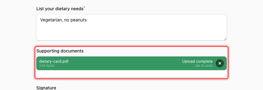 A completed upload on the public form showing the file name, its size, and Upload complete